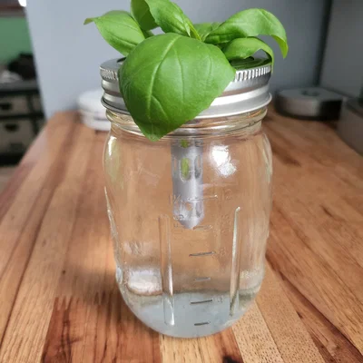 Bộ Nắp Mason Jar Giâm Cành (Mason Jar Plant Clippings Starter)
