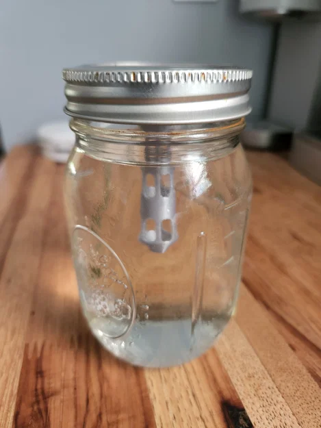 Bộ Nắp Mason Jar Giâm Cành (Mason Jar Plant Clippings Starter) - Image 2