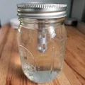 Bộ Nắp Mason Jar Giâm Cành (Mason Jar Plant Clippings Starter) - Thumbnail 2