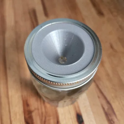 Bộ Nắp Mason Jar Giâm Cành (Mason Jar Plant Clippings Starter)