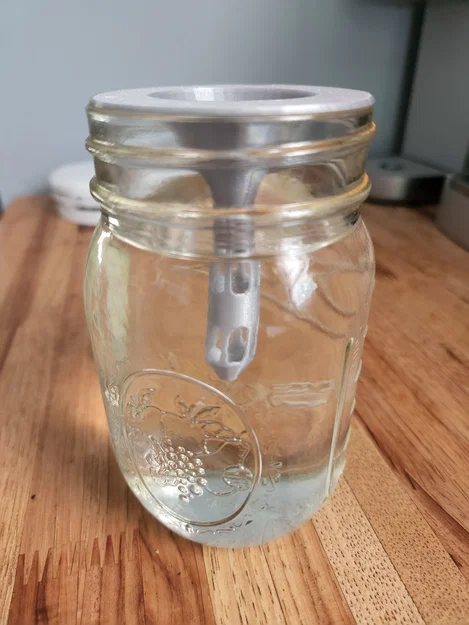 Bộ Nắp Mason Jar Giâm Cành (Mason Jar Plant Clippings Starter) - Image 5