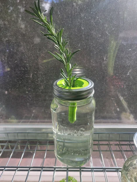 Nắp ươm cây thủy canh 3D cho hũ Mason Jar - Image 1