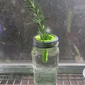 Nắp ươm cây thủy canh 3D cho hũ Mason Jar - Thumbnail 1