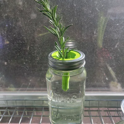 Nắp ươm cây thủy canh 3D cho hũ Mason Jar