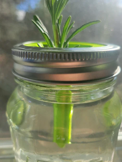 Nắp ươm cây thủy canh 3D cho hũ Mason Jar - Image 2