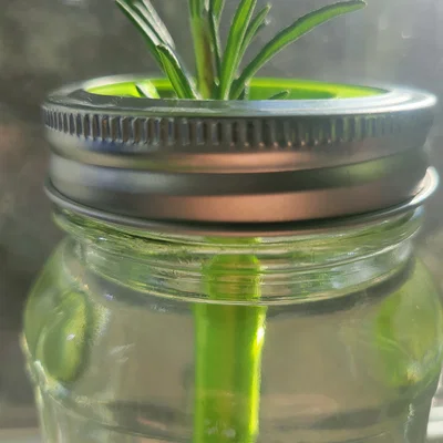 Nắp ươm cây thủy canh 3D cho hũ Mason Jar