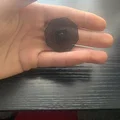 Vỉ đập ruồi Nerf (Nerf flyswatter) - Thumbnail 2