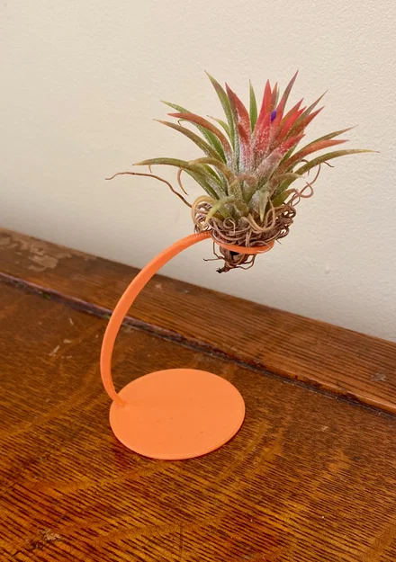 Giá đỡ cây không khí 3D (Air Plant Holder) độc đáo và tinh tế - Image 1