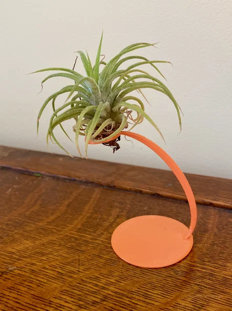 Giá đỡ cây không khí 3D (Air Plant Holder) độc đáo và tinh tế - Image 2