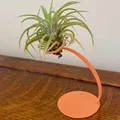 Giá đỡ cây không khí 3D (Air Plant Holder) độc đáo và tinh tế - Thumbnail 2