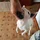 LibbyHeeren_4388029