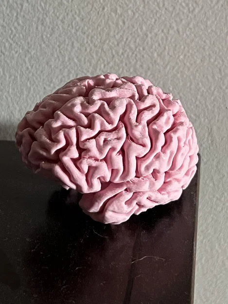 My Brain (Não của mình) - Image 1