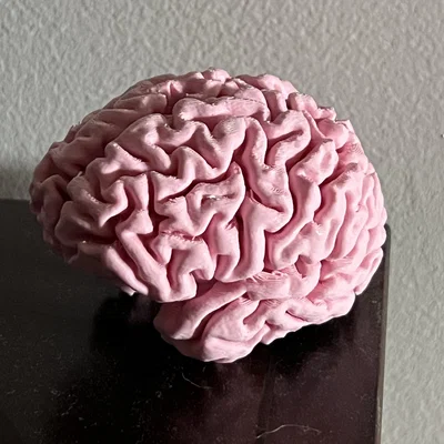My Brain (Não của mình)