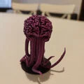 Elder brain - Thumbnail 1