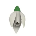 Hoa Snowdrop (Schneeglöckchen) - Thumbnail 3