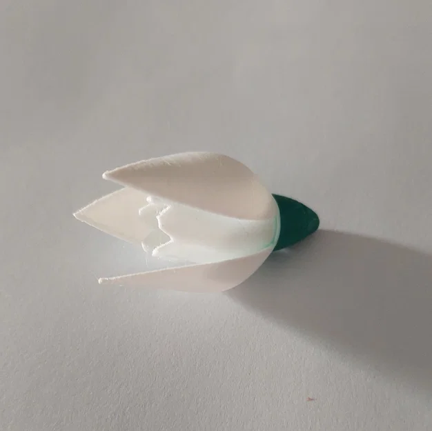 Hoa Snowdrop (Schneeglöckchen) - Image 4
