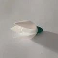 Hoa Snowdrop (Schneeglöckchen) - Thumbnail 4