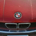 Logo BMW gắn nắp capo (BMW hood logo) - Thumbnail 3