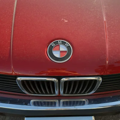 Logo BMW gắn nắp capo (BMW hood logo)
