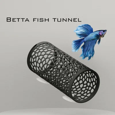 Đường hầm cho cá Betta (Betta fish tunnel)