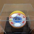 Mô hình cấu trúc tế bào nấm 3D giáo dục trực quan - Thumbnail 2