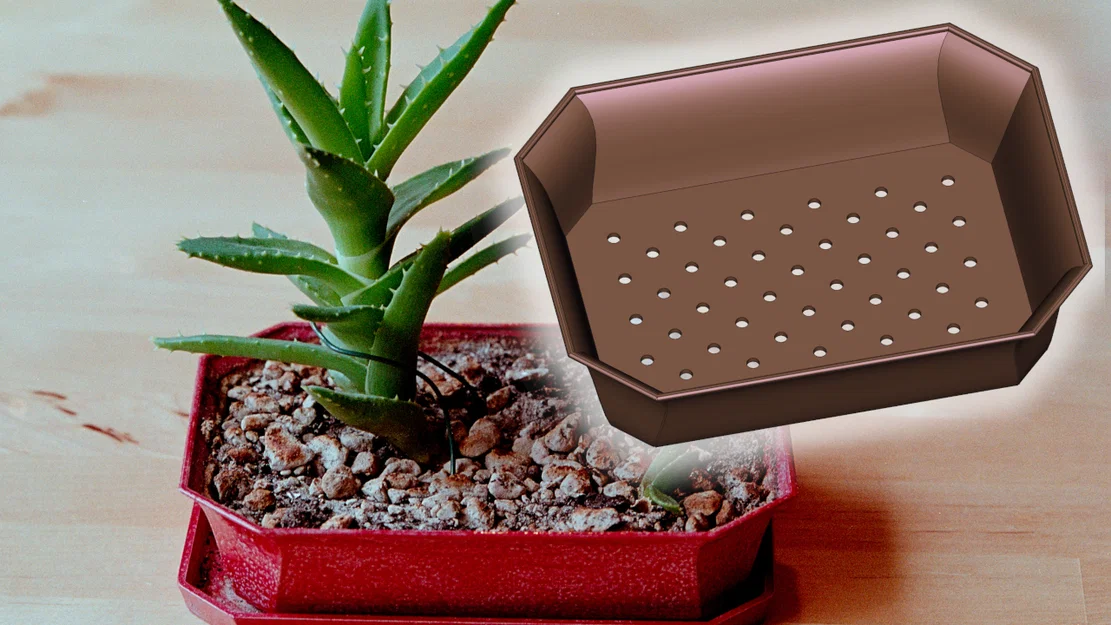 Chậu Bonsai (Bonsai Pot) - Image 1