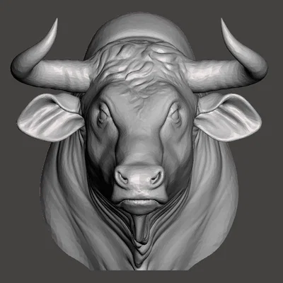 Đầu Bò (Bull) treo tường