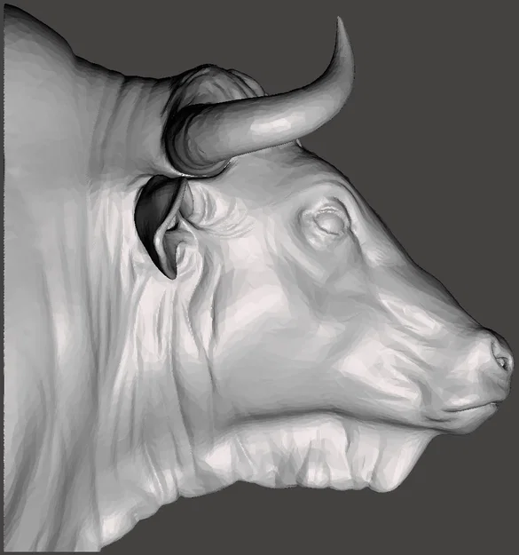 Đầu Bò (Bull) treo tường - Image 8