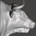 Đầu Bò (Bull) treo tường - Thumbnail 8
