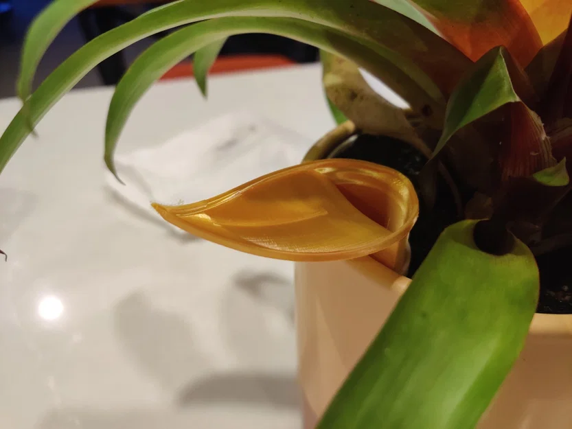 Insert chậu tự tưới có thể scale kèm funnel tùy chọn - Image 6