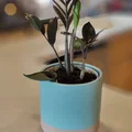 Insert chậu tự tưới có thể scale kèm funnel tùy chọn - Thumbnail 10