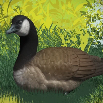 Tượng Ngỗng Canada (Canada Goose Sculpture)