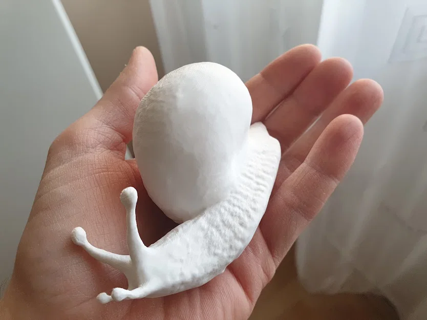 Mô hình ốc sên 3D trang trí độc đáo và chân thực - Image 3
