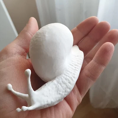 Mô hình ốc sên 3D trang trí độc đáo và chân thực