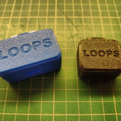 Hộp đựng nút tai (Ear Plug Case) có vòng treo (Loops)