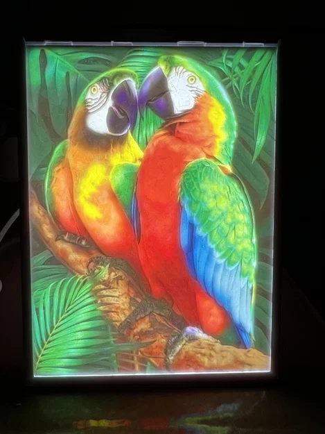 Bản in mẫu Bambu Color Litho - Image 1