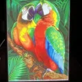 Bản in mẫu Bambu Color Litho - Thumbnail 1