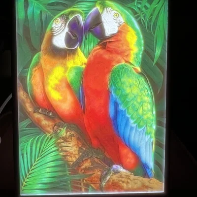 Bản in mẫu Bambu Color Litho