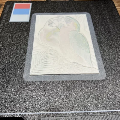 Bản in mẫu Bambu Color Litho