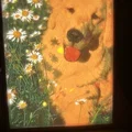 Bản in mẫu Bambu Color Litho - Thumbnail 6