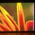 Bản in mẫu Bambu Color Litho - Thumbnail 8
