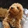 Andorra_71698