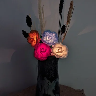 Rose Lights – Chụp hoa hồng kẹp cho đèn fairy light
