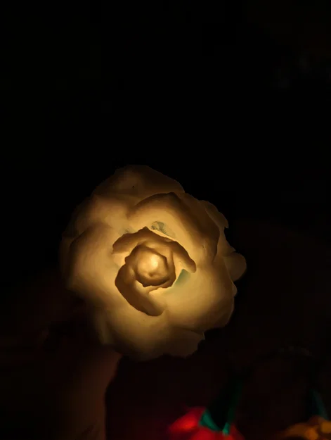 Rose Lights – Chụp hoa hồng kẹp cho đèn fairy light - Image 6