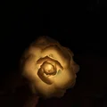 Rose Lights – Chụp hoa hồng kẹp cho đèn fairy light - Thumbnail 6