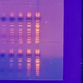 Lược gel agarose tham số (Parametric Agarose Gel Comb) - Thumbnail 2