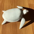 Mô hình chú rùa 3D thông minh không cần hỗ trợ - Thumbnail 1