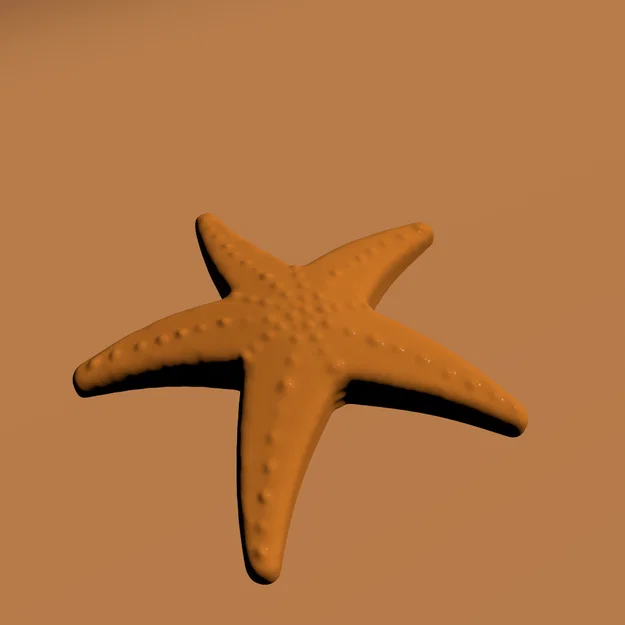 Mô hình sao biển (SeaStar) - Đồ chơi in 3D dễ thương cho bé - Image 1