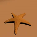 Mô hình sao biển (SeaStar) - Đồ chơi in 3D dễ thương cho bé - Thumbnail 1