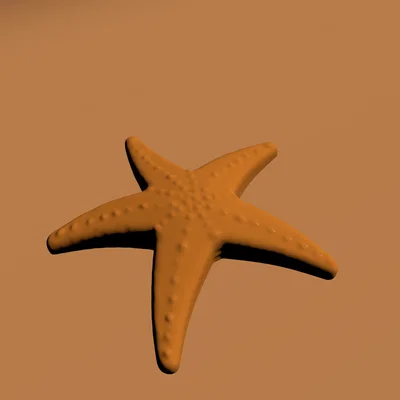 Mô hình sao biển (SeaStar) - Đồ chơi in 3D dễ thương cho bé